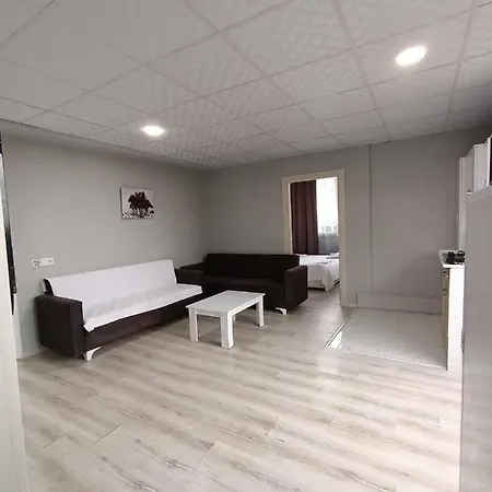 Vienna מלון דירות 3*